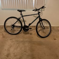Free spirit  FS 15 Speed Bike