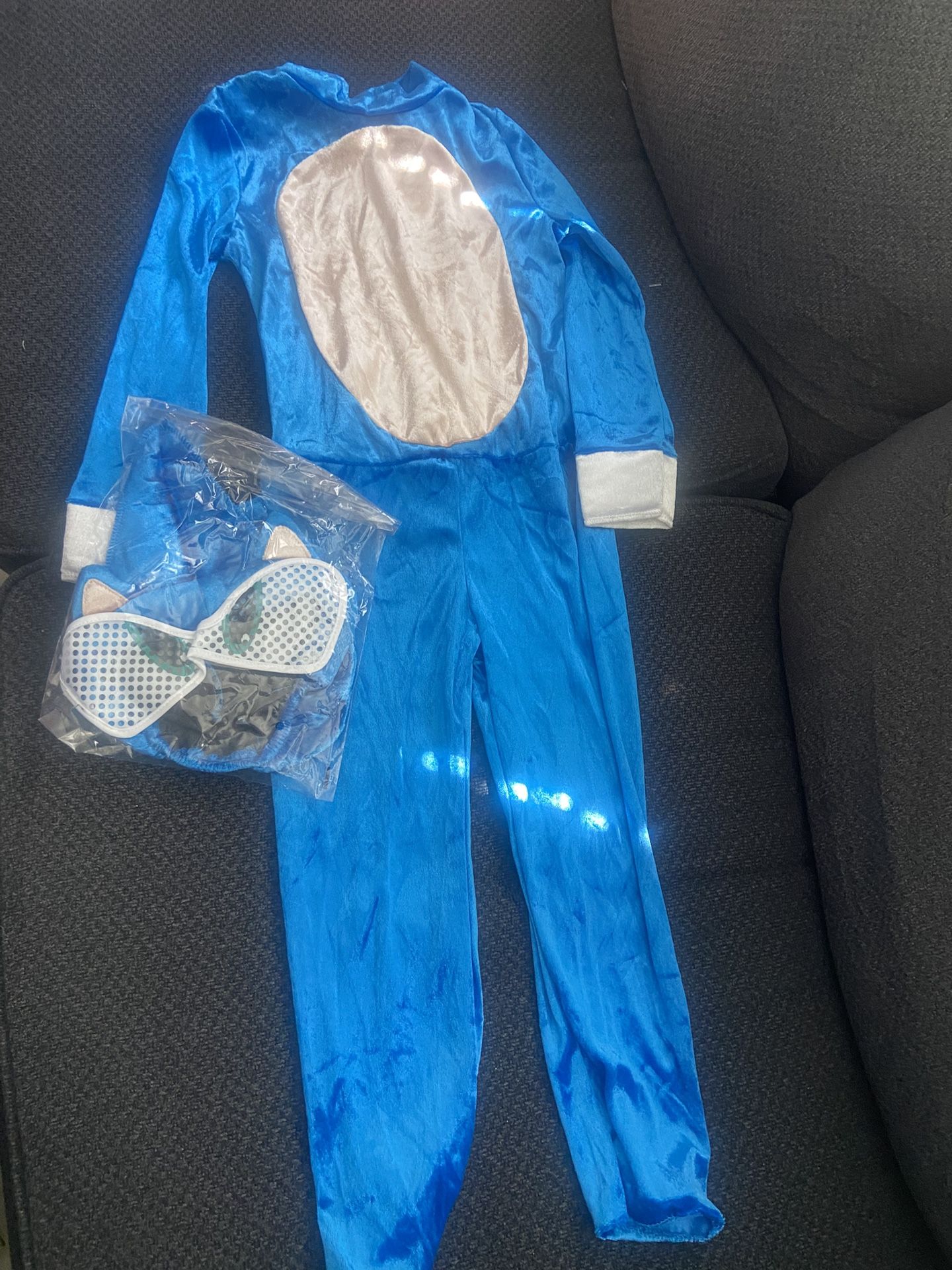 Sonic Costume