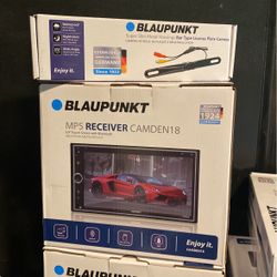 Blaupunkt Double Din 