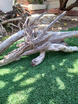 4 pieces natural driftwood