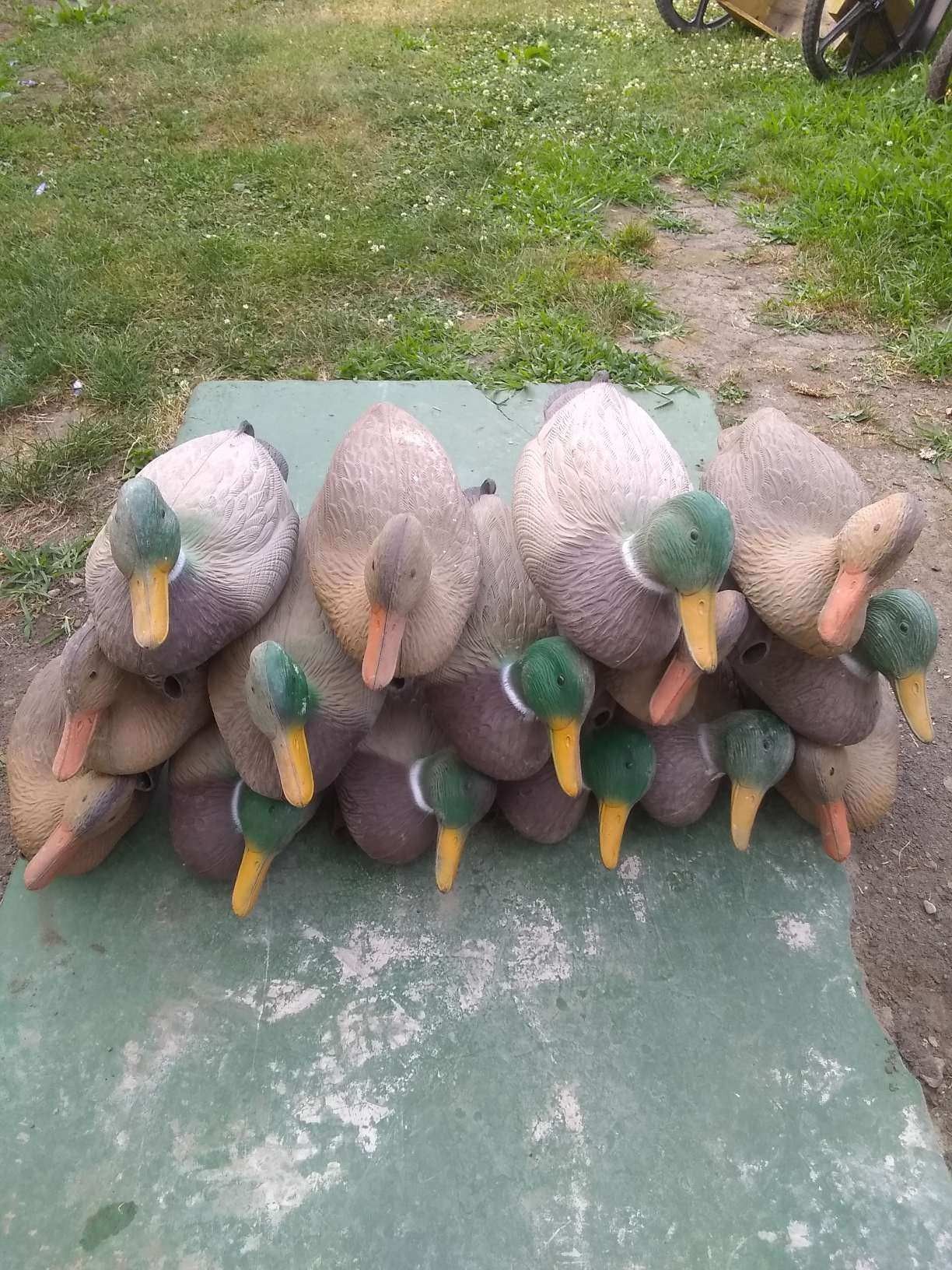 MALLARD DECOYS