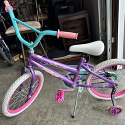 Girl Bike With Training Wheels 
