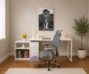 Juego de escritorio + silla $360 / Desk Set + Ergonomic Chair $360