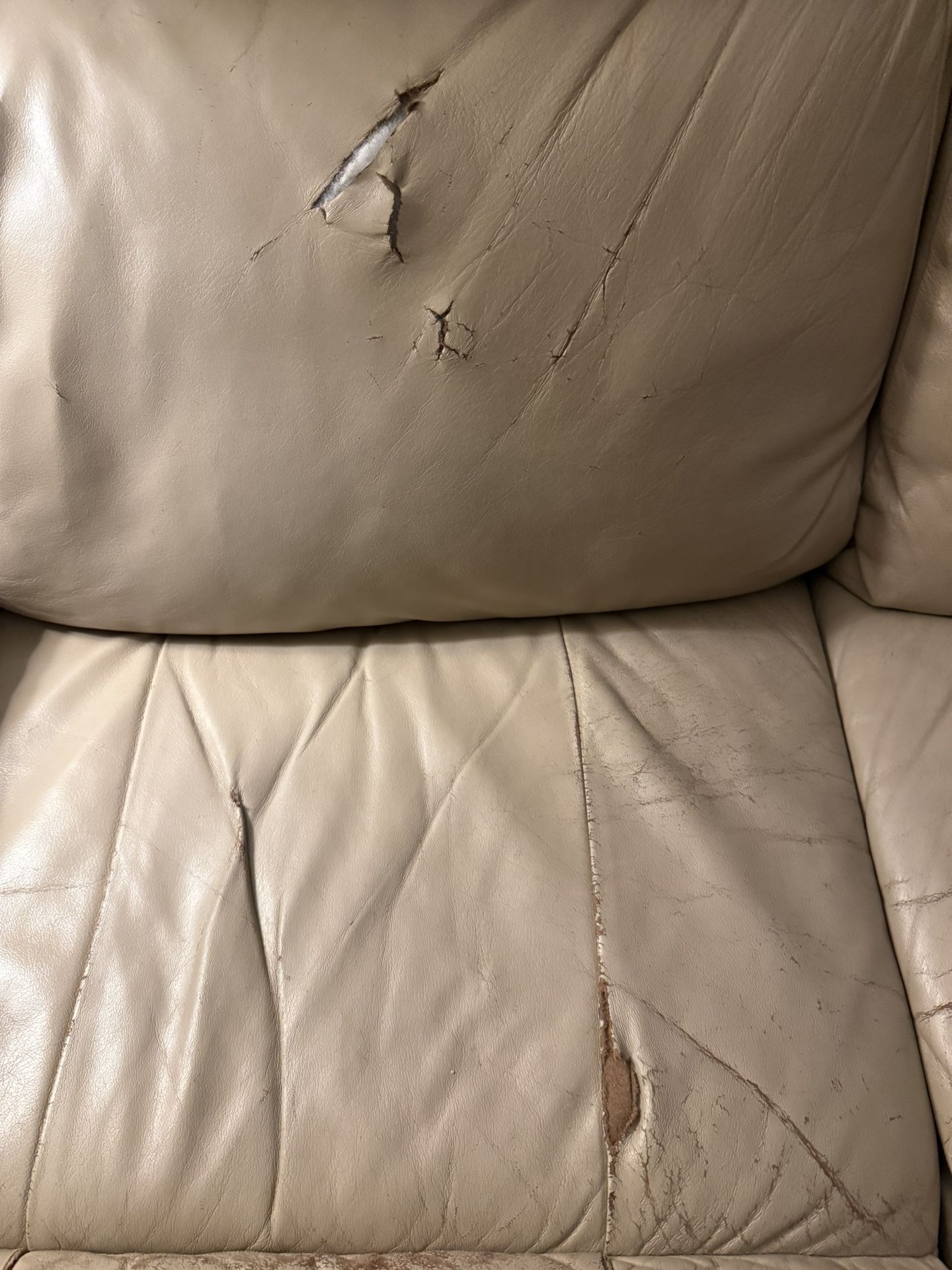 Need Leather Repaired On Couch
