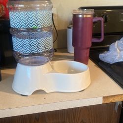 Dog Or Car Water Fountain 