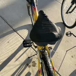 MOTIV BIKE 26” 