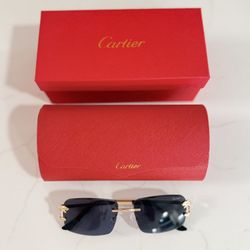 Cartier Panthère Rectangular Unisex Sunglasses