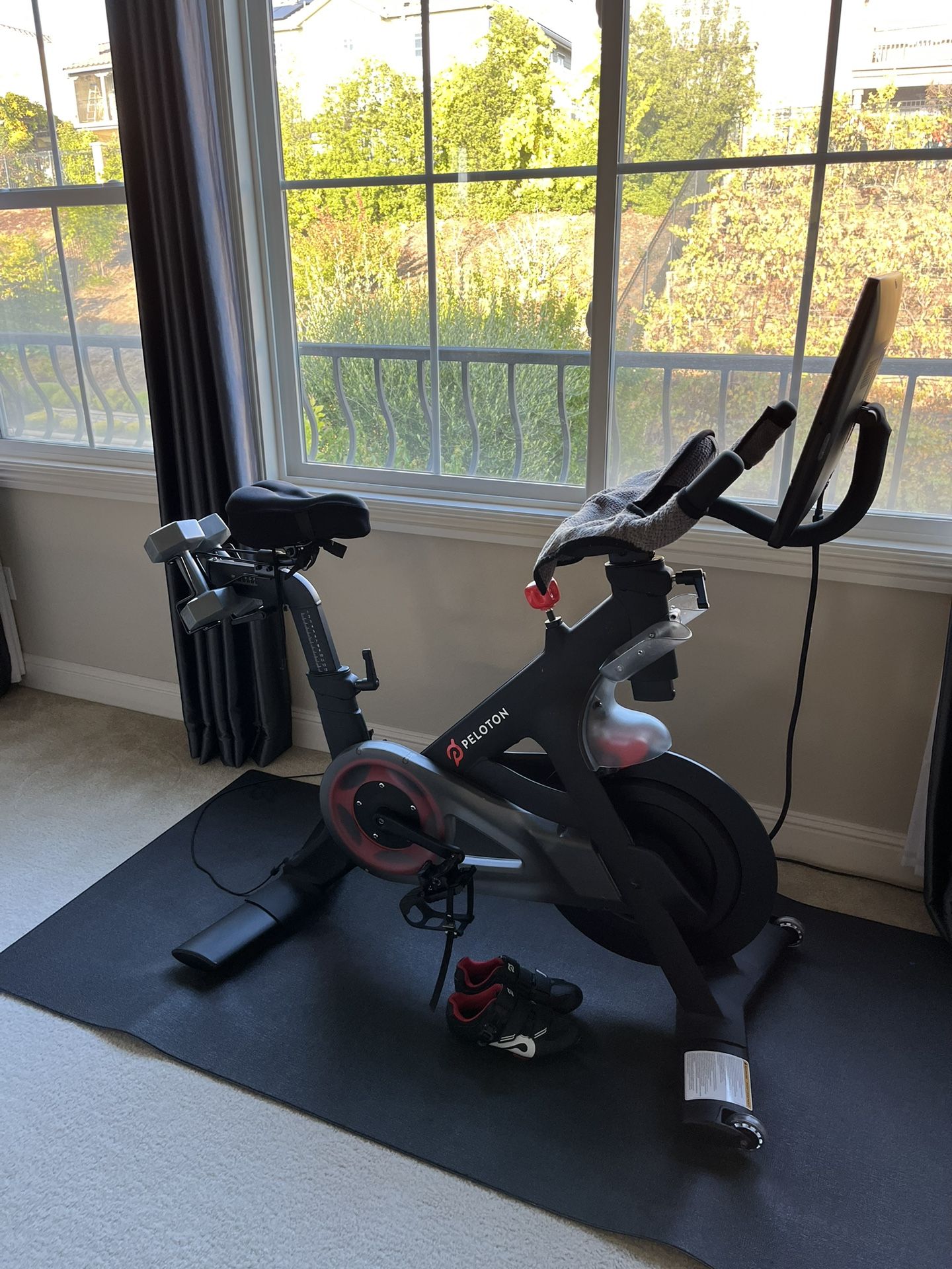 Peloton For Sale 