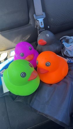 Ducks