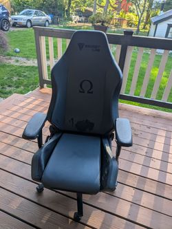 Secret Labs Leather Omega Chair