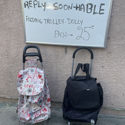 Shopping Bag With Wheels