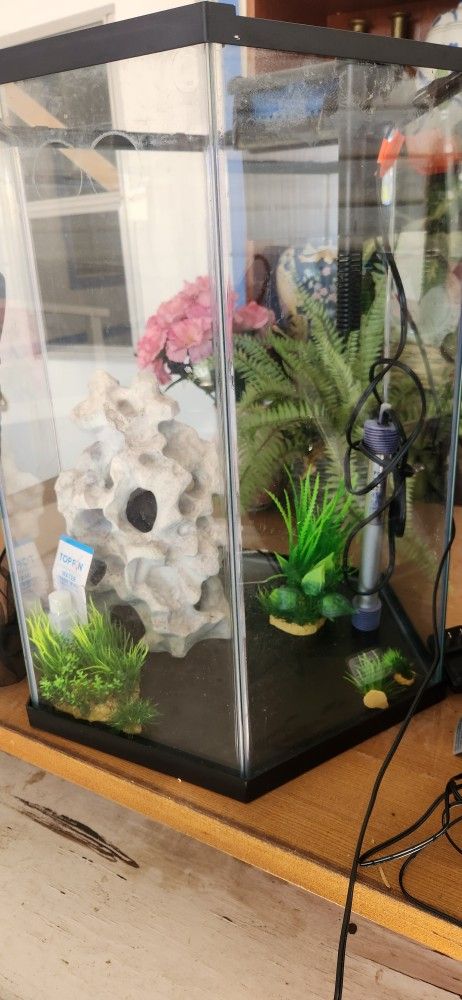 20 Gallon Fish Tank