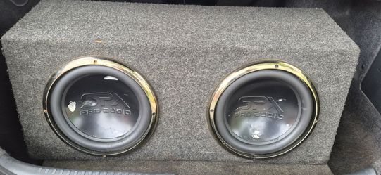 SPX Pro Audio Dual Subwoofer Box
