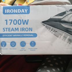 Brand NEW Steam Iron