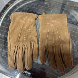 Riding Gloves