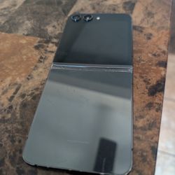 Samsung Z Flip 5 