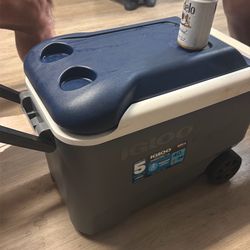 Igloo 40 QT