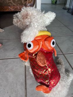 Dog Fish Halloween Costume