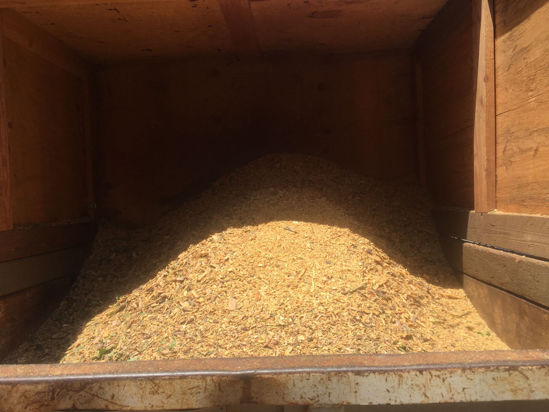 Free wood chips, free mulch, woodchips. Local delivery available today!