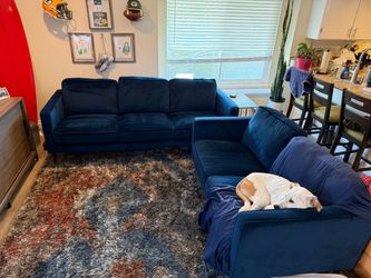 Navy Velvet Sofa Set