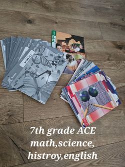 ACE Homeschool Program 