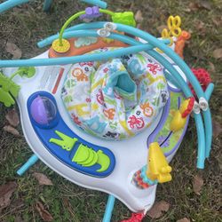 Fisher Price Bouncer