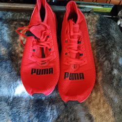 RED AND BLACK PUMAS 