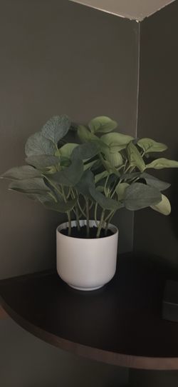 Faux Potted Plants