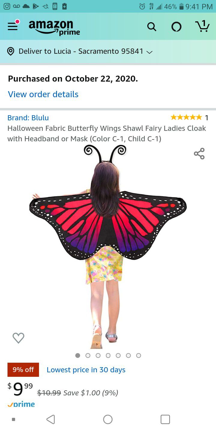Butterfly Costume kids