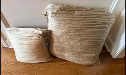 Decorative silk Throw Pillows Set of 2