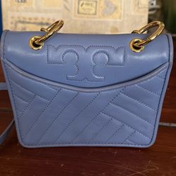 Periwinkle TB Purse