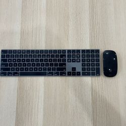 Apple Magic 2 Keyboard and Mouse 2 -Space Grey -Fully Functional