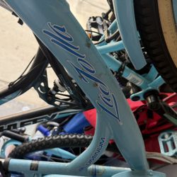 Kent La Jolla Aluminum Cruiser