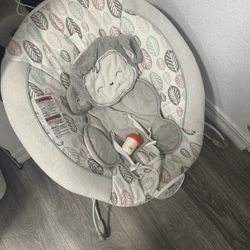 Baby Bouncer 