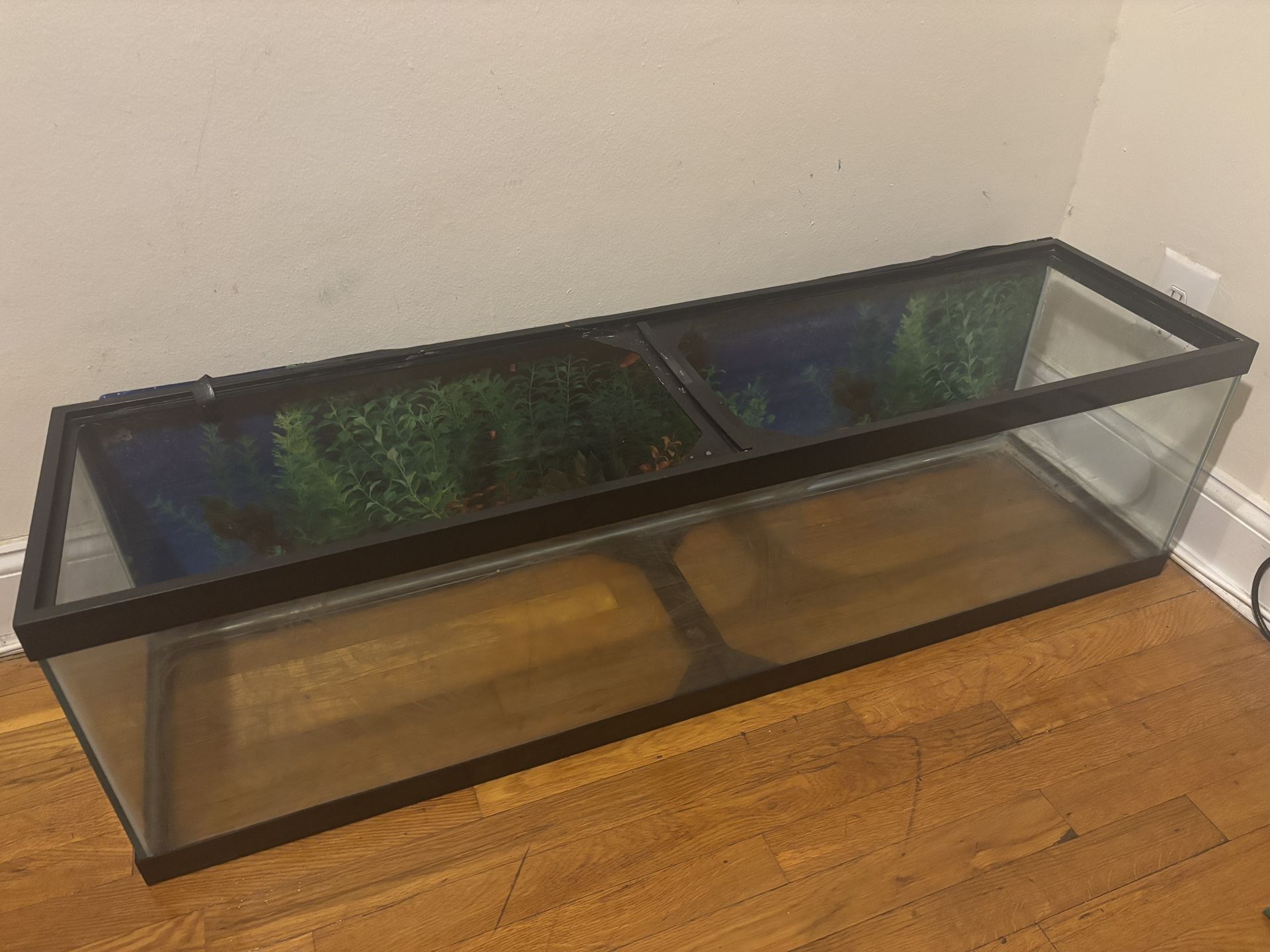 35 Gallon Panoramic Rectangle Fish / ReptileTank