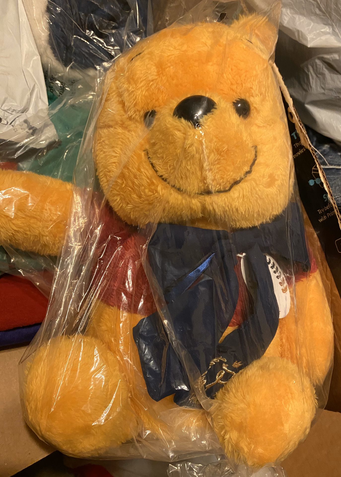 Winnie the Pooh Plushy / New With Tags In Packaging / Pick-up in Cedar Hill / Shipping Available