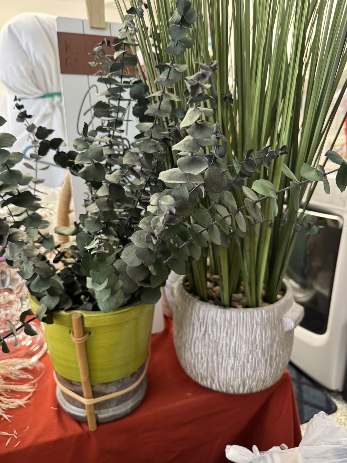 Decorative Plants