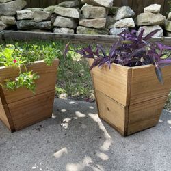 Medium Size Planter Boxes With Plants 
