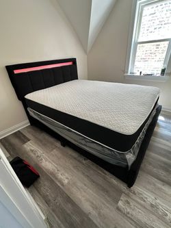 queen led bed frame x mattress x box spring