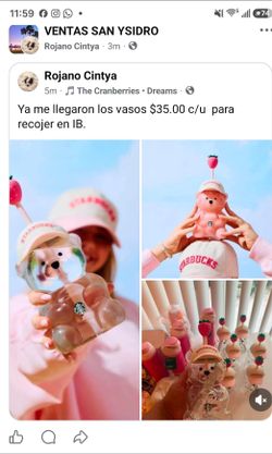 Bear Cup