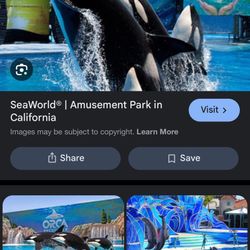 Seaworld Tickets