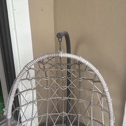 Cat Swing