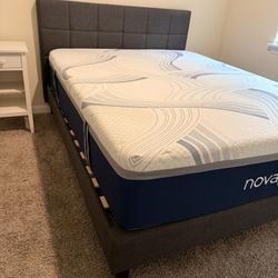 Free Queen Bed And Frame "pick Up Pending "