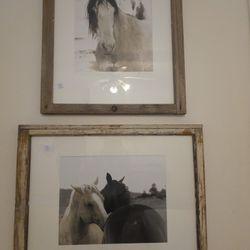 Santa FE Artist 