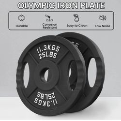 A Pair Of 25 Pounds Each Metal Plates