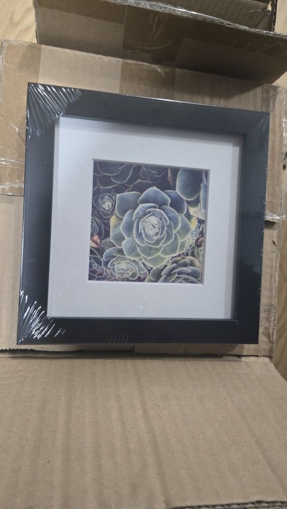 Unopened 8"x8" Square Picture Frames – Black, Securely Boxed