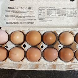Fresh Eggs