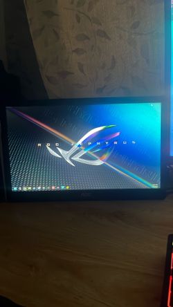 Portable monitor