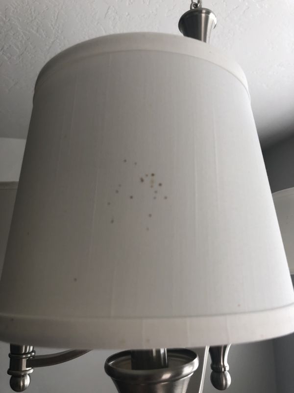 New And Used Lamp Shades For In Boise Id Offerup