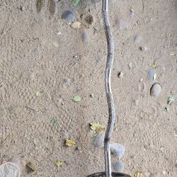 Barra Para Hacer Ejercicio